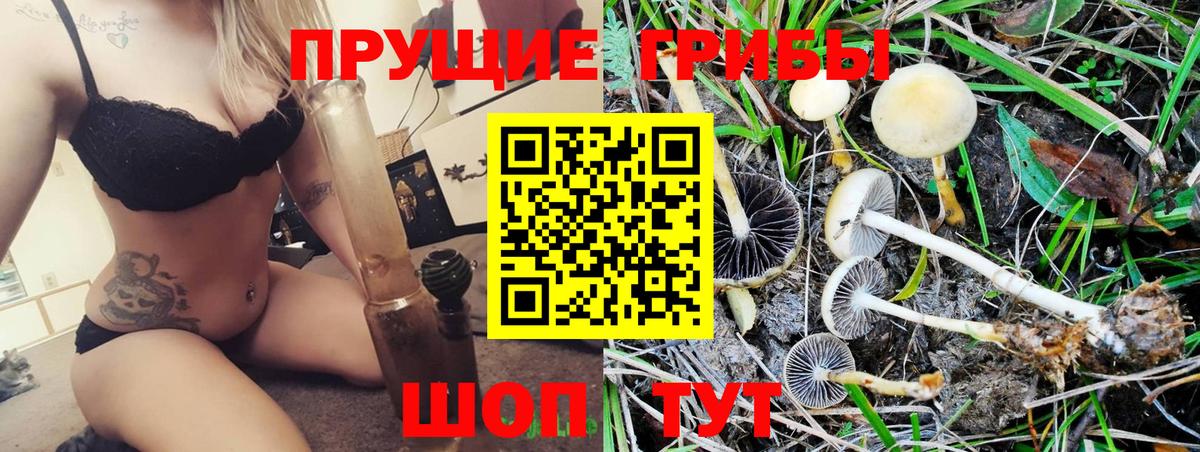 Псилоцибиновые грибы MAGIC MUSHROOMS Кольчугино