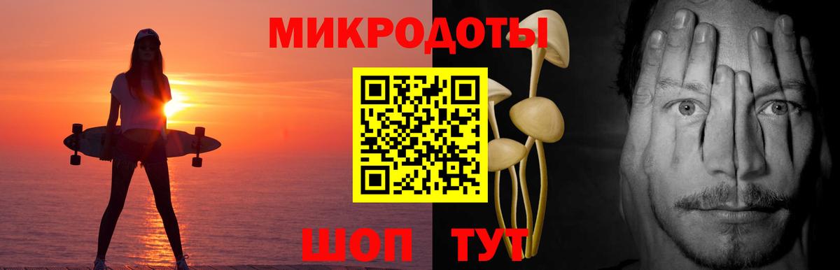 Галлюциногенные грибы Psilocybe  Вход с VPN  Кольчугино 